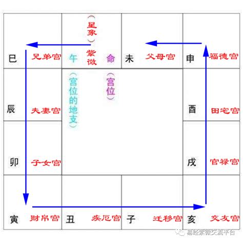 紫微斗数 疾厄宮